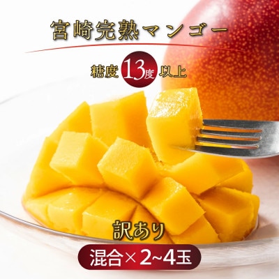 【訳あり】宮崎完熟マンゴー ご家庭用(1.5～1.7kg)大小混合