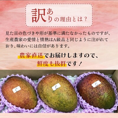 【訳あり】宮崎完熟マンゴー ご家庭用(1.5～1.7kg)大小混合