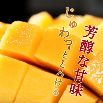 【訳あり】宮崎完熟マンゴー ご家庭用(1.5～1.7kg)大小混合