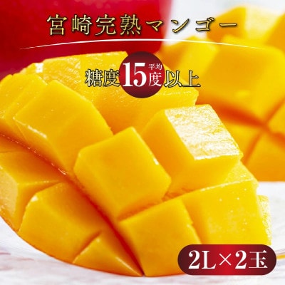 宮崎完熟マンゴー(2L×2玉入×1箱)簡易箱入