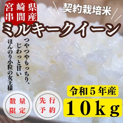 令和5年産　宮崎県串間市産　ミルキークイーン　計10kg(5kg×2)