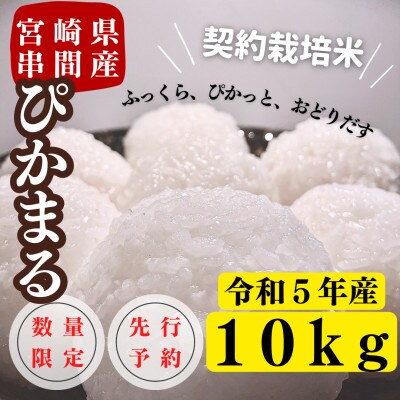 令和5年産　早場米　宮崎県串間市産　ぴかまる　10kg