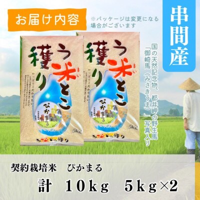 令和5年産　早場米　宮崎県串間市産　ぴかまる　10kg