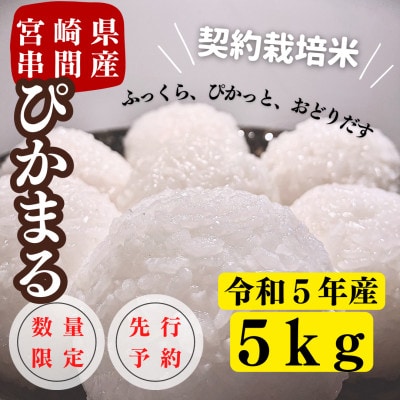 令和5年産　早場米　宮崎県串間市産　ぴかまる　5kg