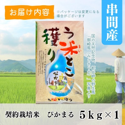 令和5年産　早場米　宮崎県串間市産　ぴかまる　5kg
