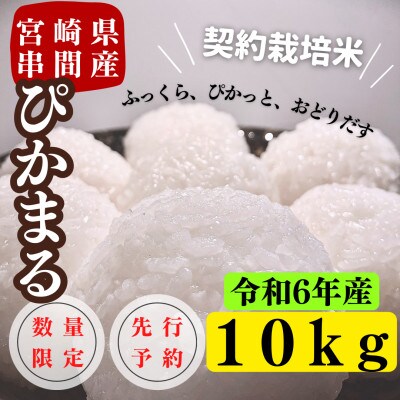 令和6年産　早場米　宮崎県串間市産　ぴかまる　10kg