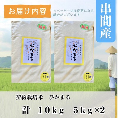 令和6年産　早場米　宮崎県串間市産　ぴかまる　10kg