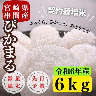 令和6年産　早場米　宮崎県串間市産　ぴかまる　6kg