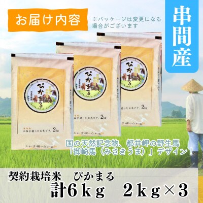 令和6年産　早場米　宮崎県串間市産　ぴかまる　6kg