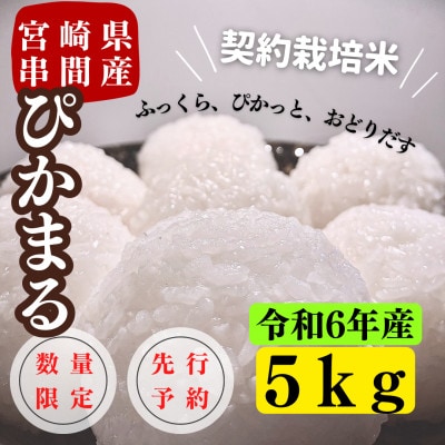 令和6年産　早場米　宮崎県串間市産　ぴかまる　5kg