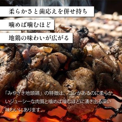 ＜認定農家直送＞のびのびと育てたみやざき地頭鶏の炭火焼き(計500g・100g×5パック) U-A2