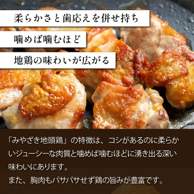 【認定農家直送】のびのびと育てたみやざき地頭鶏の生肉セット(モモ肉・ムネ肉)合計1kg