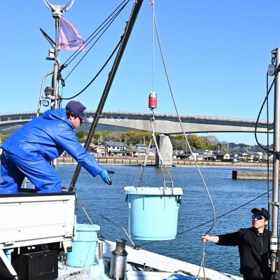 漁師の獲れたてちりめん 計1.12kg(160g×7袋)鮮度と美味しさに自信! 海の幸