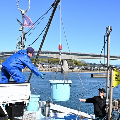 漁師の獲れたてちりめん 計800g(160g×5袋)鮮度と美味しさに自信! 海の幸