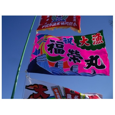 漁師の獲れたてちりめん 計1.98kg(180g×11袋)鮮度と美味しさに自信! 海の幸
