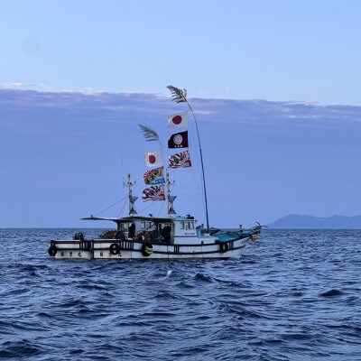 漁師の獲れたてちりめん 計1.76kg(160g×11袋)鮮度と美味しさに自信! 海の幸
