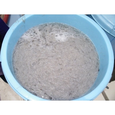 漁師の獲れたてちりめん 計1.98kg(180g×11袋)鮮度と美味しさに自信! 海の幸