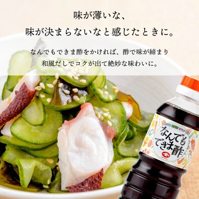 調味料セット(亀)計5本