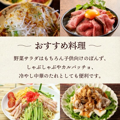 魔法の玉ねぎドレッシングセット 計5本