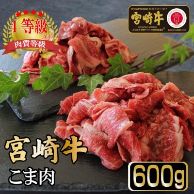 【宮崎牛】こま肉300g×2袋(計600g)美味しい牛肉をご家庭で【KU032】