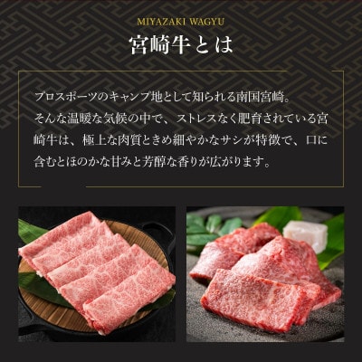 【宮崎牛】福袋赤身セット(モモステーキ・モモ焼肉・モモスライス・赤身サイコロ/計700g)KU039
