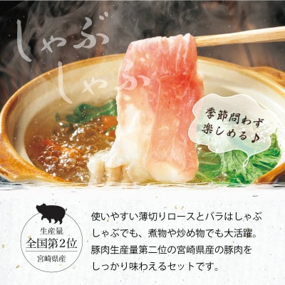 宮崎県産ブランド豚のロースとバラスライスセット　計1kg(ロース500g、バラスライス500g)　