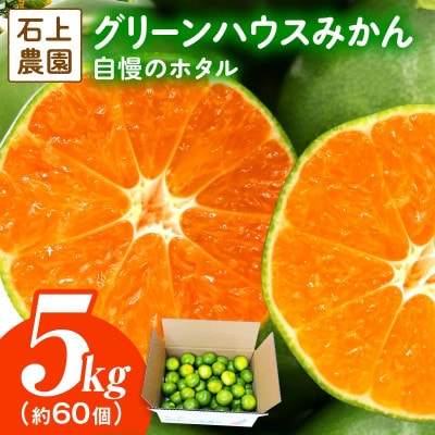 石上農園自慢のホタル(グリーンハウスミカン)5kg