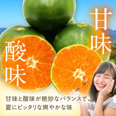 石上農園自慢のホタル(グリーンハウスミカン)5kg