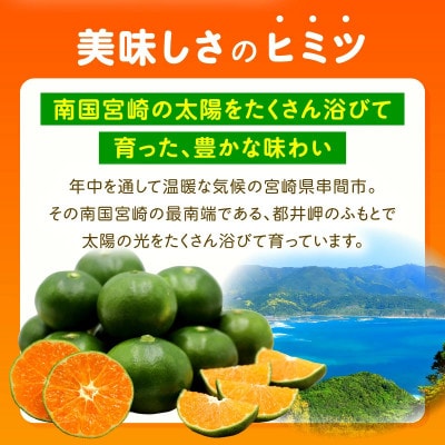 石上農園自慢のホタル(グリーンハウスミカン)5kg
