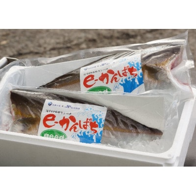 AEL(養殖エコラベル)認証「e-かんぱち」フィーレ(お刺身約20人前) AG-CD2