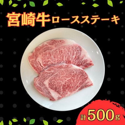 宮崎牛ロースステーキセット 計500g (250g×2)(串間市)