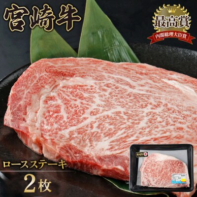 宮崎牛ロースステーキセット 計500g (250g×2)(串間市)
