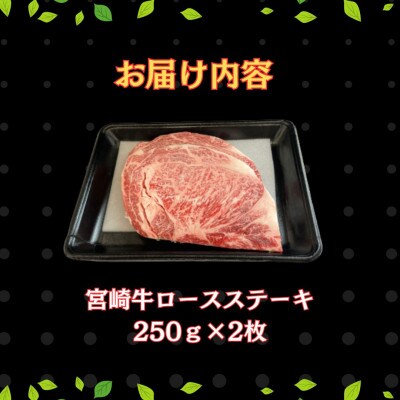 宮崎牛ロースステーキセット 計500g (250g×2)(串間市)
