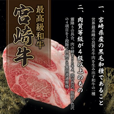 宮崎牛ロースステーキセット 計500g (250g×2)(串間市)