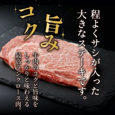宮崎牛ロースステーキセット 計500g (250g×2)(串間市)