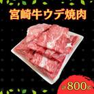 宮崎牛 ウデ焼肉 計800g(400g×2)(串間市)