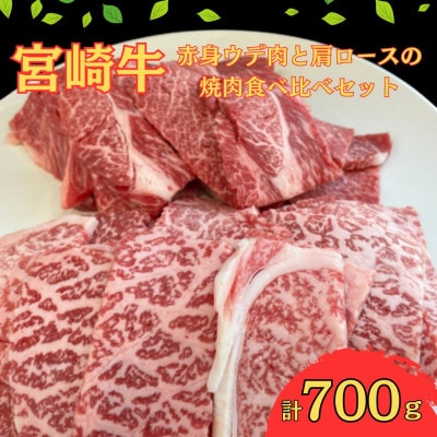 宮崎牛赤身ウデ肉400gと肩ロース300gの焼肉食べ比べセット(合計700g)(串間市)