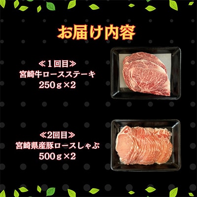 【毎月定期便】内閣総理大臣賞受賞の宮崎牛と宮崎産豚肉 計3.7kg(串間市)全6回