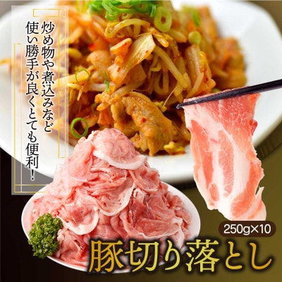 宮崎県産 豚肉詰め合わせセット 合計4kg(串間市)