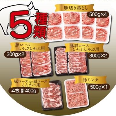 【数量限定】【2024年1月より順次発送】宮崎県産 豚バラエティー 4.1kgセット(串間市)