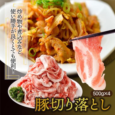 【数量限定】【2024年1月より順次発送】宮崎県産 豚バラエティー 4.1kgセット(串間市)