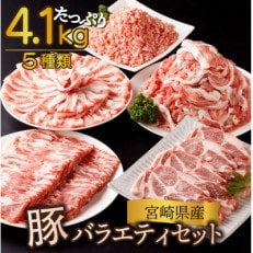 【数量限定】【2024年2月より順次発送】宮崎県産 豚バラエティー 4.1kgセット(串間市)