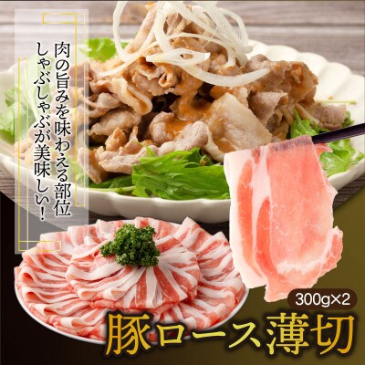 【数量限定】【2024年3月より順次発送】宮崎県産 豚バラエティー 4.1kgセット(串間市)