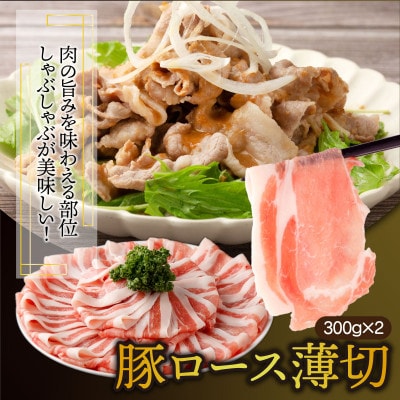 【数量限定】【2024年4月より順次発送】宮崎県産 豚バラエティー 4.1kgセット(串間市)