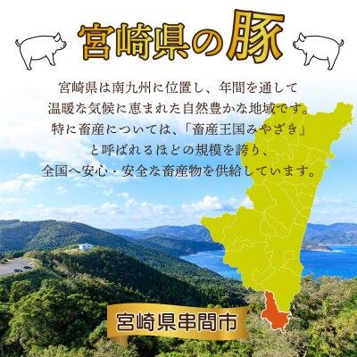 【数量限定】【2024年4月より順次発送】宮崎県産 豚バラエティー 4.1kgセット(串間市)