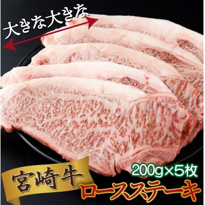 宮崎県産 宮崎牛ロースステーキ 200g×5枚 合計1kg(串間市)