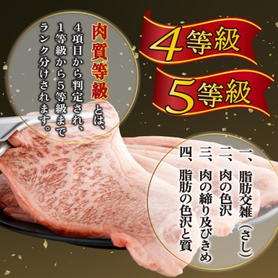 宮崎県産 宮崎牛ロースステーキ 200g×5枚 合計1kg(串間市)