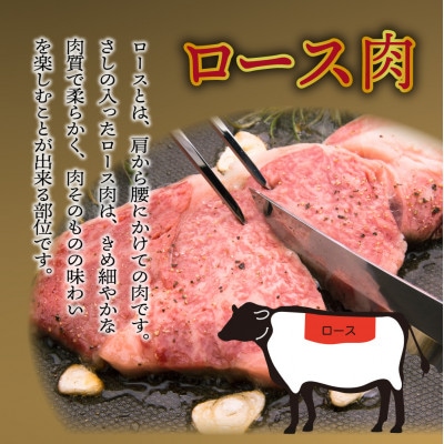 宮崎県産 宮崎牛ロースステーキ 200g×5枚 合計1kg(串間市)