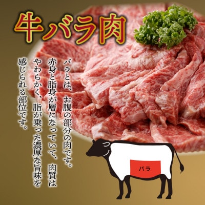 宮崎県産 宮崎牛バラ焼肉用 250g×4パック 合計1kg(串間市)