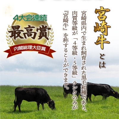 宮崎県産 宮崎牛バラ焼肉用 250g×4パック 合計1kg(串間市)